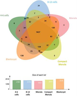 Dynamic Changes in the Proteome of Early Bovine Embryos Developed In Vivo